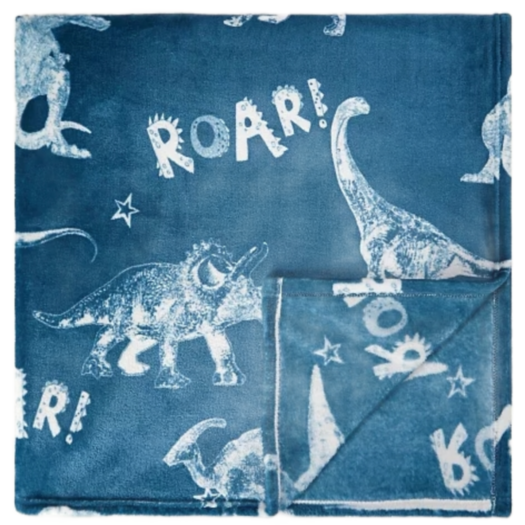 Blue dinosaur blanket best sale