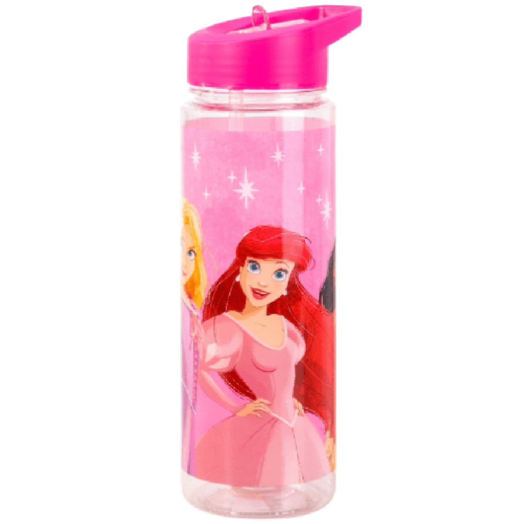 Disney Princess  | Drink Bottle | Little Gecko