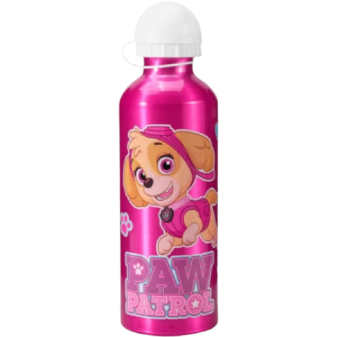 Paw Patrol | Pink Stainless Steel Drink Bottle | Little Gecko